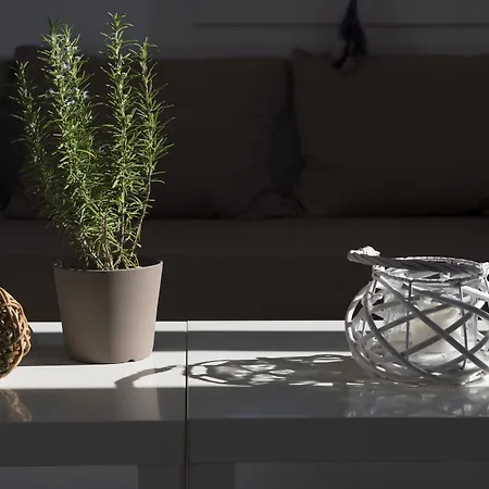 Hotel Cleopatra Seaside Homes Paros Piso Livadi