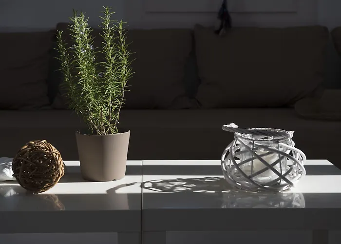 酒店 Cleopatra Seaside Homes Paros 皮索·里瓦蒂