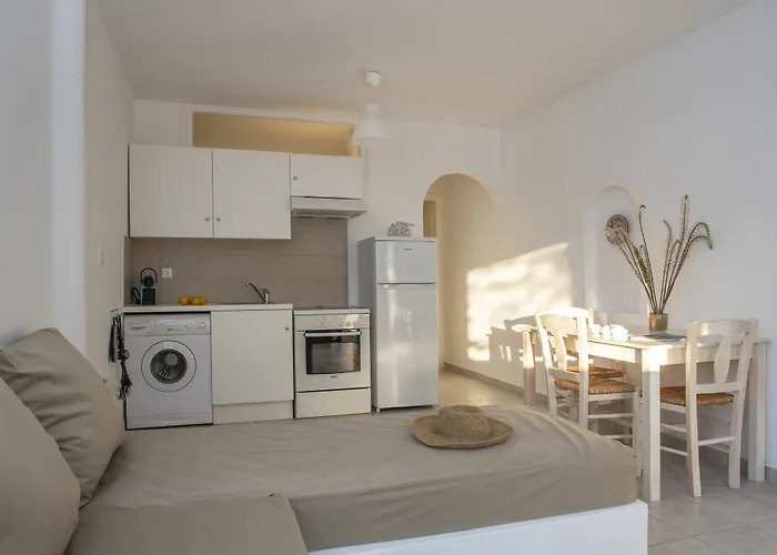 酒店 Cleopatra Seaside Homes Paros